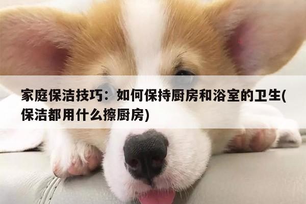 家庭保洁技巧:如何保持厨房和浴室的卫生(保洁都用什么擦厨房)