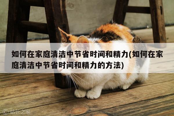 如何在家庭清洁中节省时间和精力(如何在家庭清洁中节省时间和精力的方法)