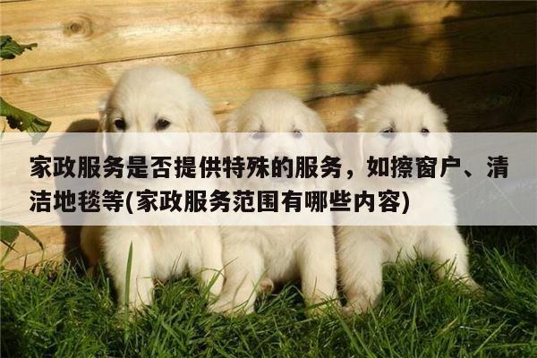 家政服务是否提供特殊的服务,如擦窗户、清洁地毯等(家政服务范围有哪些内容)