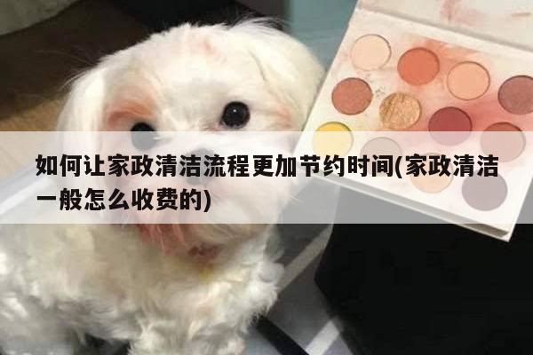 如何让家政清洁流程更加节约时间(家政清洁一般怎么收费的)