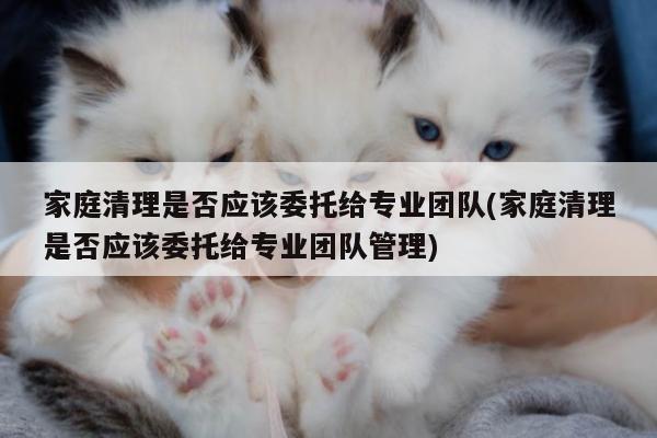 家庭清理是否应该委托给专业团队(家庭清理是否应该委托给专业团队管理)