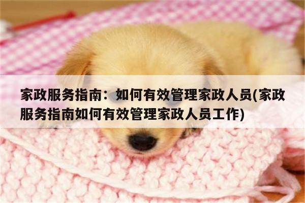 家政服务指南:如何有效管理家政人员(家政服务指南如何有效管理家政人员工作)