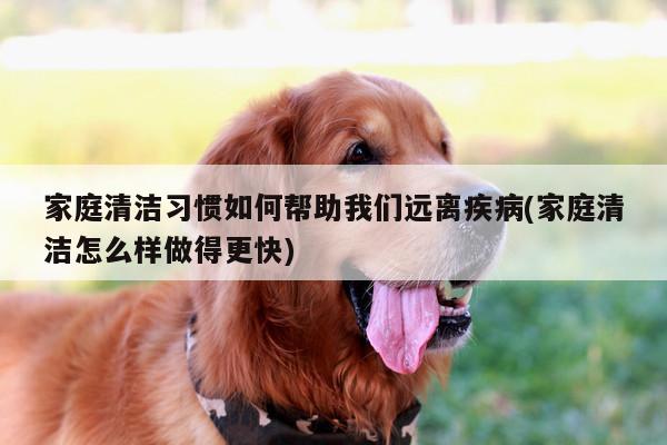 家庭清洁习惯如何帮助我们远离疾病(家庭清洁怎么样做得更快)