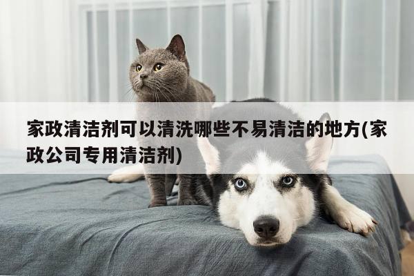 家政清洁剂可以清洗哪些不易清洁的地方(家政公司专用清洁剂)