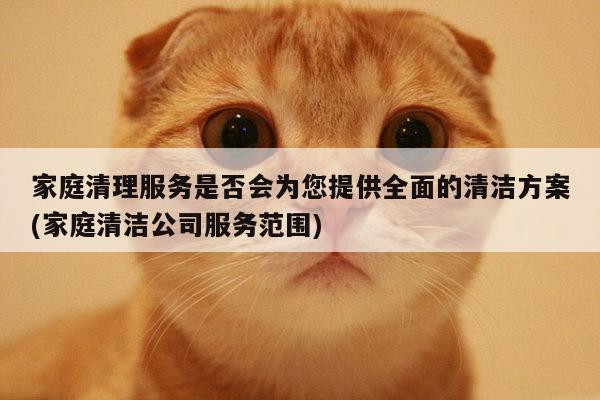 家庭清理服务是否会为您提供全面的清洁方案(家庭清洁公司服务范围)