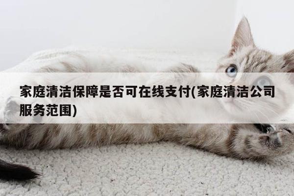 家庭清洁保障是否可在线支付(家庭清洁公司服务范围)