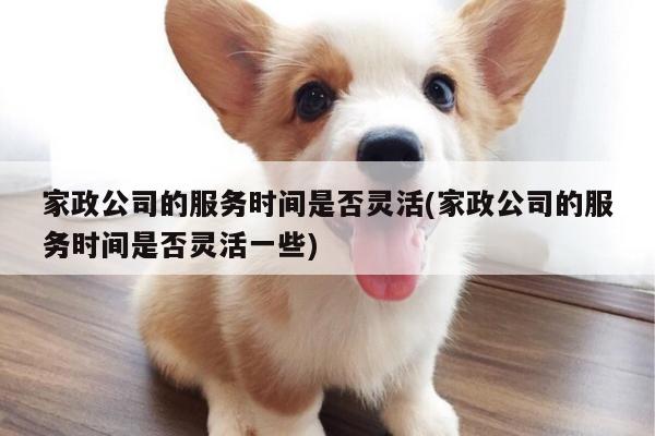 家政公司的服务时间是否灵活(家政公司的服务时间是否灵活一些)