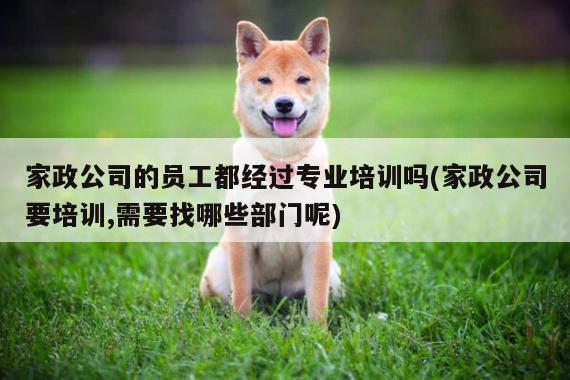 家政公司的员工都经过专业培训吗(家政公司要培训,需要找哪些部门呢)