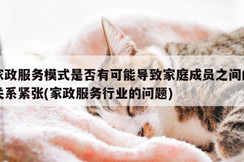 家政服务模式是否有可能导致家庭成员之间的关系紧张(家政服务行业的问题)