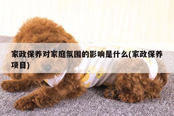 家政保养对家庭氛围的影响是什么(家政保养项目)