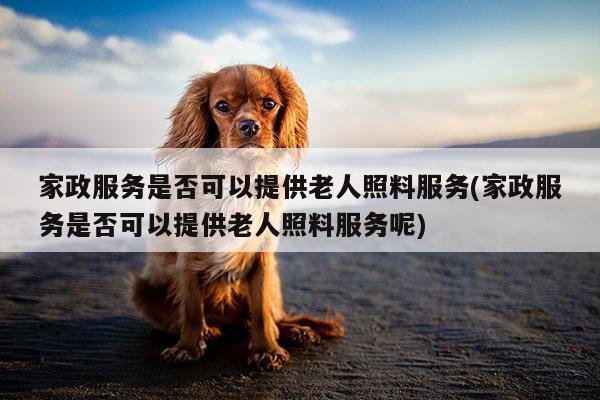 家政服务是否可以提供老人照料服务(家政服务是否可以提供老人照料服务呢)