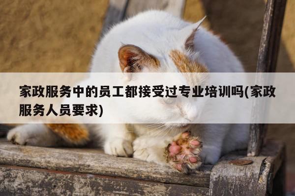 家政服务中的员工都接受过专业培训吗(家政服务人员要求)