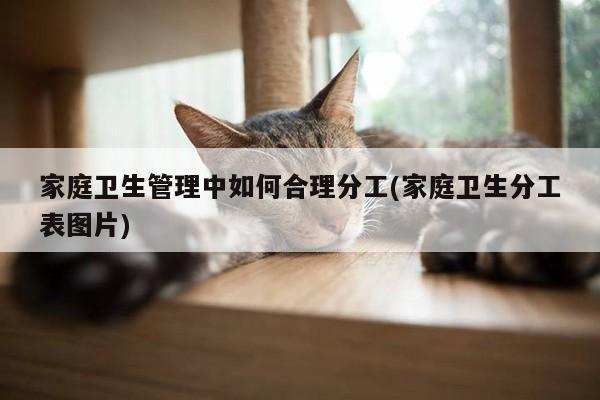 家庭卫生管理中如何合理分工(家庭卫生分工表图片)