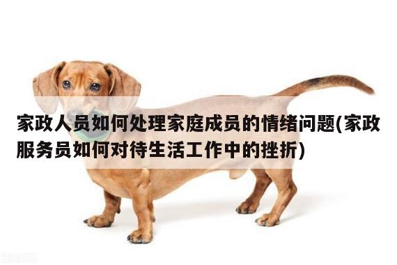 家政人员如何处理家庭成员的情绪问题(家政服务员如何对待生活工作中的挫折)