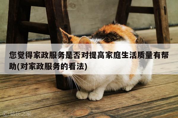 您觉得家政服务是否对提高家庭生活质量有帮助(对家政服务的看法)