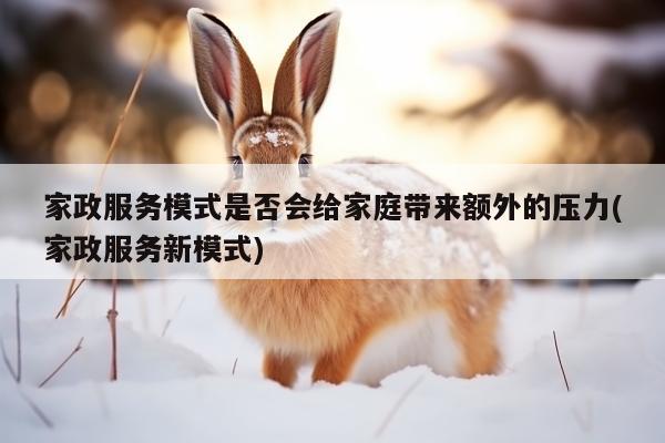 家政服务模式是否会给家庭带来额外的压力(家政服务新模式)