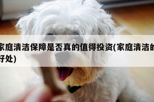 家庭清洁保障是否真的值得投资(家庭清洁的好处)