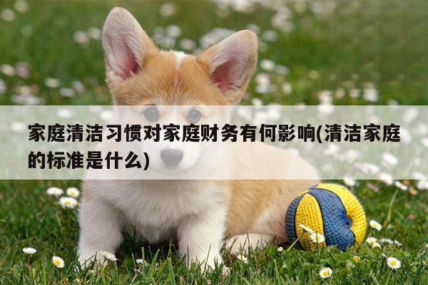 家庭清洁习惯对家庭财务有何影响(清洁家庭的标准是什么)