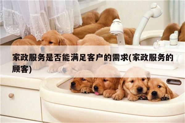 家政服务是否能满足客户的需求(家政服务的顾客)