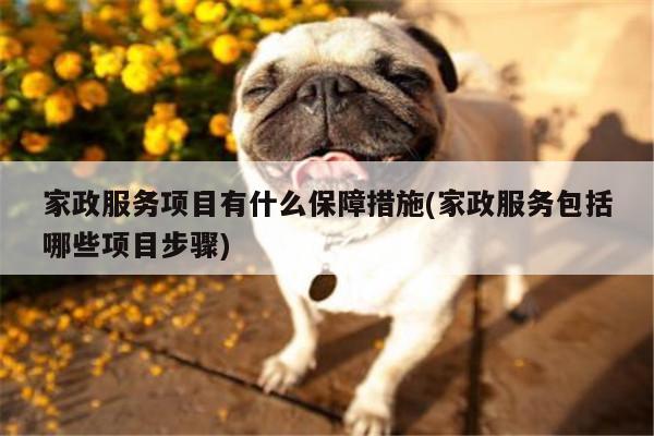 家政服务项目有什么保障措施(家政服务包括哪些项目步骤)