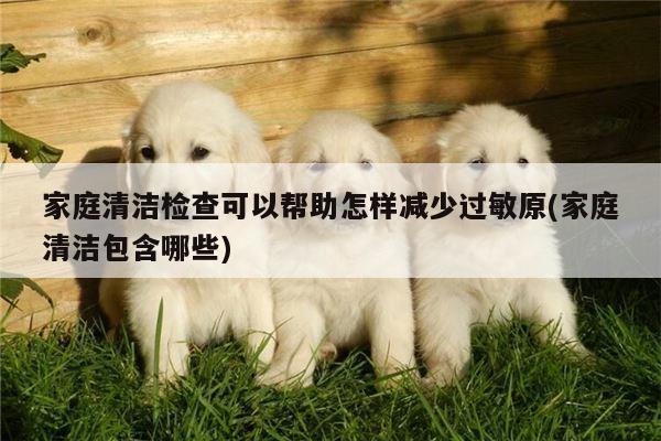 家庭清洁检查可以帮助怎样减少过敏原(家庭清洁包含哪些)