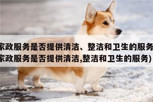 家政服务是否提供清洁、整洁和卫生的服务(家政服务是否提供清洁,整洁和卫生的服务)