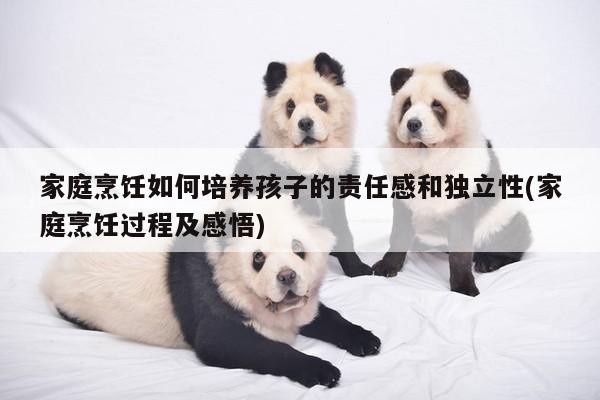 家庭烹饪如何培养孩子的责任感和独立性(家庭烹饪过程及感悟)