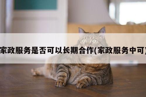 家政服务是否可以长期合作(家政服务中可)