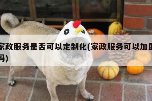 家政服务是否可以定制化(家政服务可以加盟吗)
