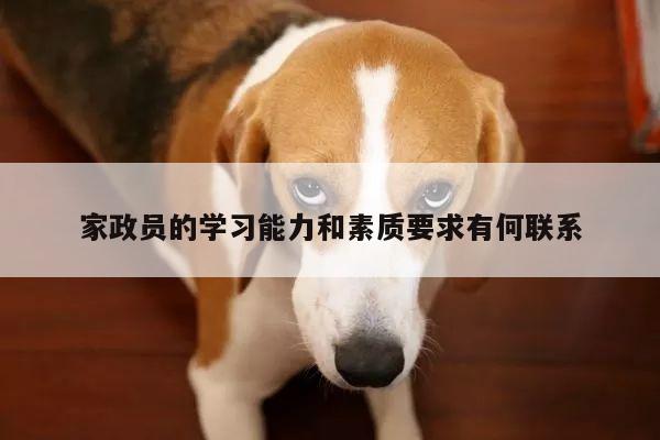 家政员的学习能力和素质要求有何联系