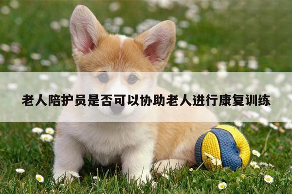 老人陪护员是否可以协助老人进行康复训练