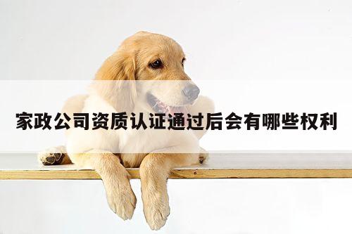 家政公司资质认证通过后会有哪些权利