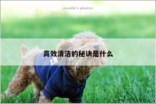 高效清洁的秘诀是什么