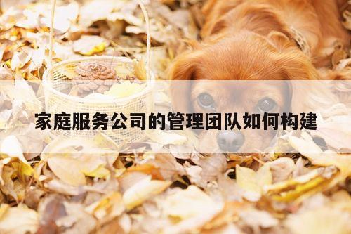 家庭服务公司的管理团队如何构建