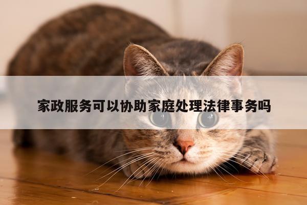 家政服务可以协助家庭处理法律事务吗