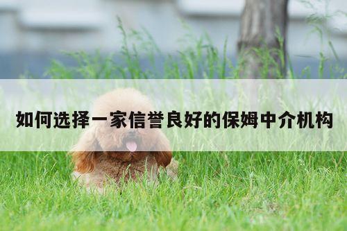 如何选择一家信誉良好的保姆中介机构