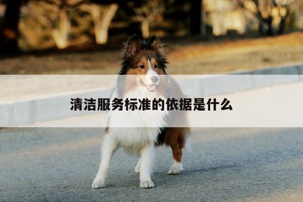 清洁服务标准的依据是什么