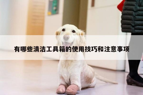 有哪些清洁工具箱的使用技巧和注意事项