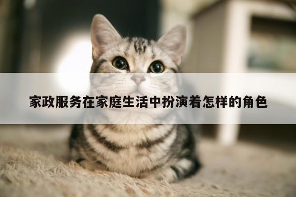 家政服务在家庭生活中扮演着怎样的角色