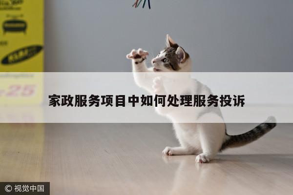 家政服务项目中如何处理服务投诉