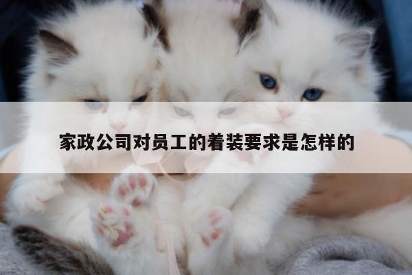 家政公司对员工的着装要求是怎样的
