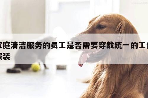 家庭清洁服务的员工是否需要穿戴统一的工作服装