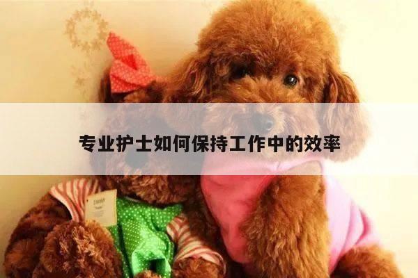 专业护士如何保持工作中的效率