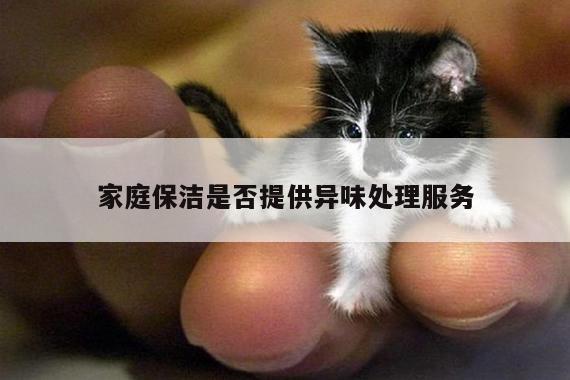 家庭保洁是否提供异味处理服务