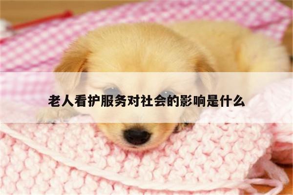 老人看护服务对社会的影响是什么