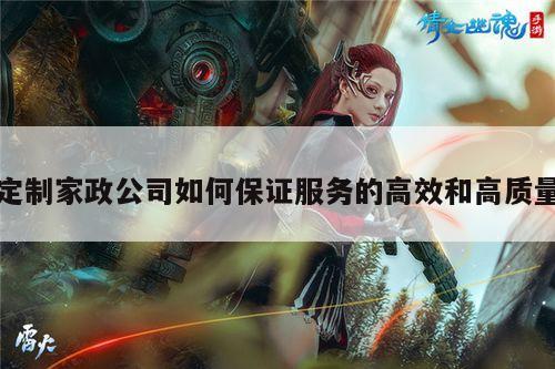 定制家政公司如何保证服务的高效和高质量