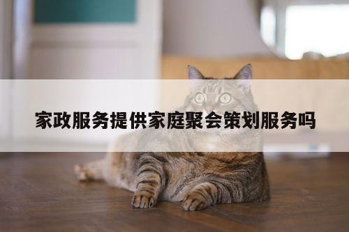 家政服务提供家庭聚会策划服务吗