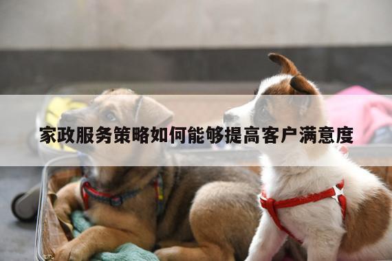 家政服务策略如何能够提高客户满意度
