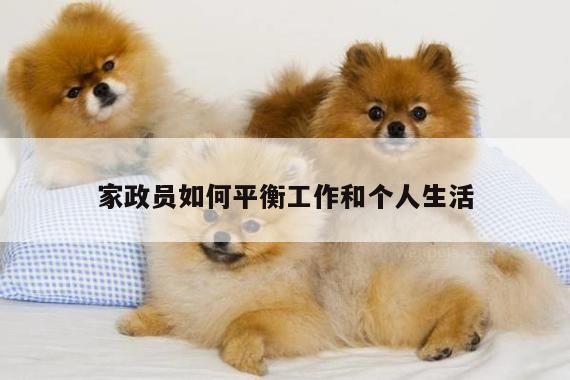 家政员如何平衡工作和个人生活