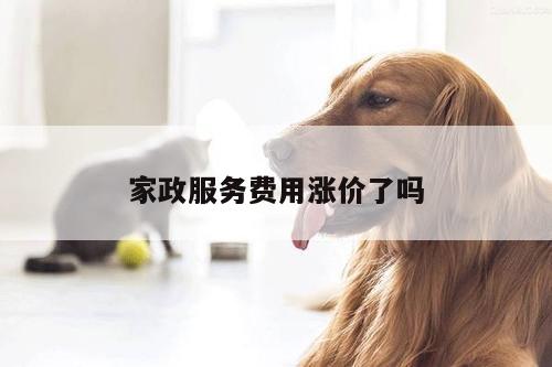 家政服务费用涨价了吗